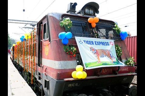Tiger Express tourist train.